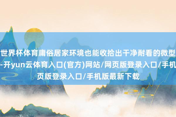 世界杯体育庸俗居家环境也能收拾出干净耐看的微型水族小宇宙-开yun云体育入口(官方)网站/网页版登录入口/手机版最新下载